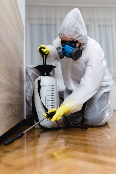 Best Indoor Pest Control  in Whiteriver, AZ